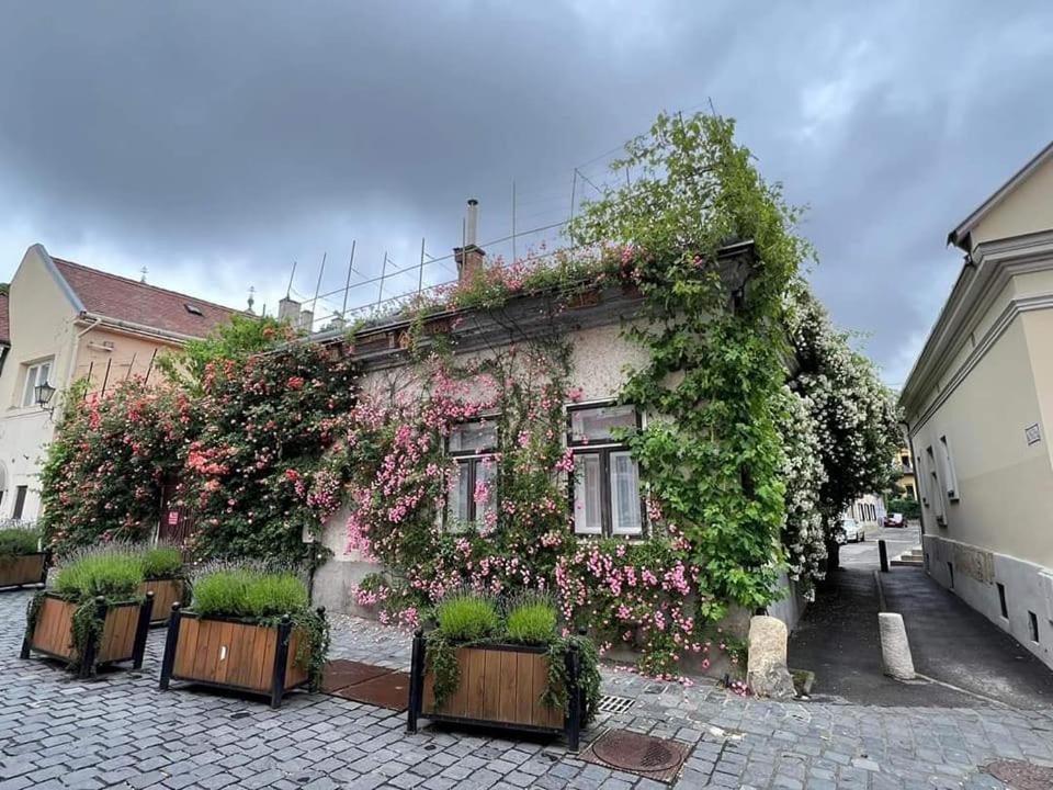 Downtown Romantic İstolni Belgrad Dış mekan fotoğraf